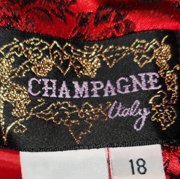 CHAMPAGNE ITALY REDSATIN WITH BLACK FLORAL PRINT DESIGNER DRESS COAT SIZE 18 - Picture 3 of 4